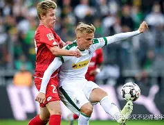 国乒法兰克福冠军赛名单揭晓 国乒法兰克福冠军赛名单揭晓