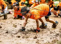 赛前全明星赛传出新动向；里尔伤情更新；管理层表态——更衣室稳定；年轻球员得到机会的简单介绍